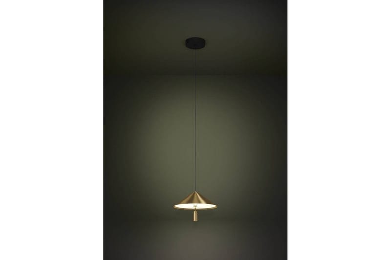 Takpendel Eglo Paraguay Mässing - Products - Belysning - Lampor & belysning inomhus - Taklampa & takbelysning - Pendellampa & hänglampa