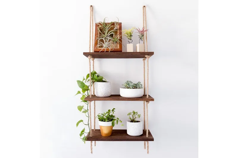 Evila Rephylla Trä - Trä - Products - Förvaring - Småförvaring - Väggförvaring