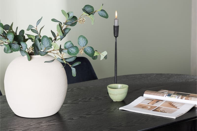 Isolde Matgrupp 180 cm Oval med 4 Night stolar - Svart - Products - Möbler - Bord & matgrupp - Matgrupp