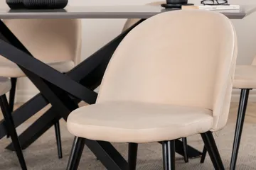 Piazza Matgrupp 180 cm Rektangulär med 6 Velvet stolar - Beige - Products - Möbler - Bord & matgrupp - Matgrupp