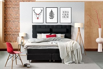 Charleston Kontinentalsäng 180x200 Fast Polyeterskum - Svart - Products - Möbler - Säng - Kontinentalsäng