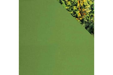 Denegal 2-sits Bäddsoffa Green - Products - Möbler - Soffa - Bäddsoffa - 2 sits bäddsoffa