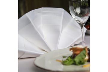 Servett Fritz Magnus Trading Delight 50 x 50 cm Vit - Products - Textil & mattor - Kökstextil - Tygservett