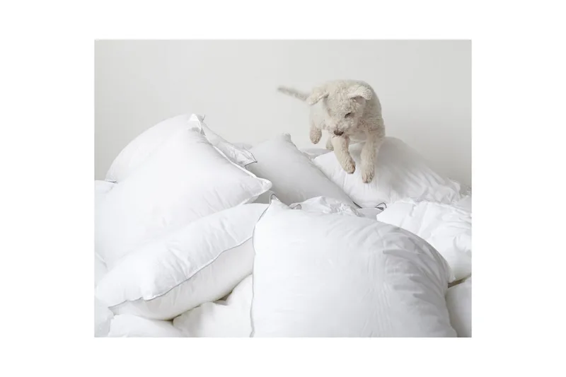 Kudde Hotellkudde - 65 x 90 cm - Products - Textil & mattor - Sängkläder - Sovkudde - Hotellkudde & avlång kudde